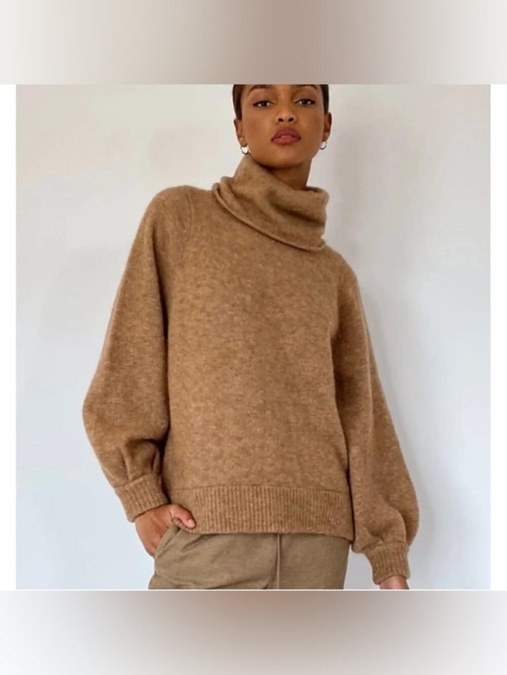 Aritzia The Group Babaton Adichie Wool Alpaca Knit Turtleneck Slouchy Sweater XS